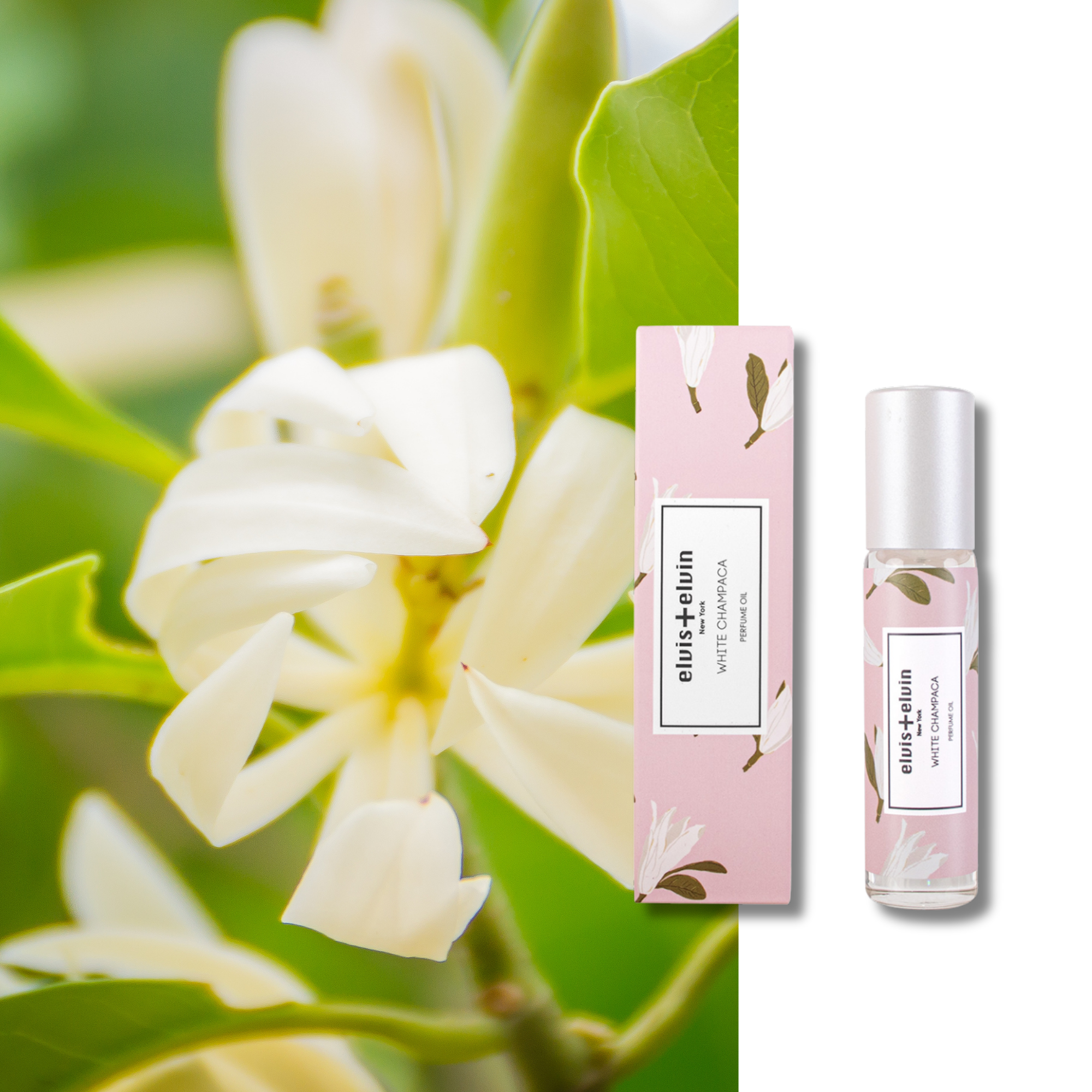 White Champaca Perfume Oil by elvis+elvin-2